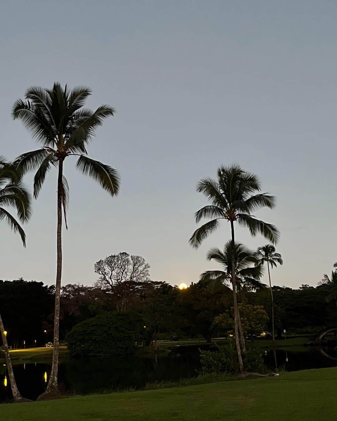 美城れんのインスタグラム：「今見た満月🌕　ウォーキング中に大きな満月が上がってきました😌 ＃ハワイ島ヒロ #9月9日」