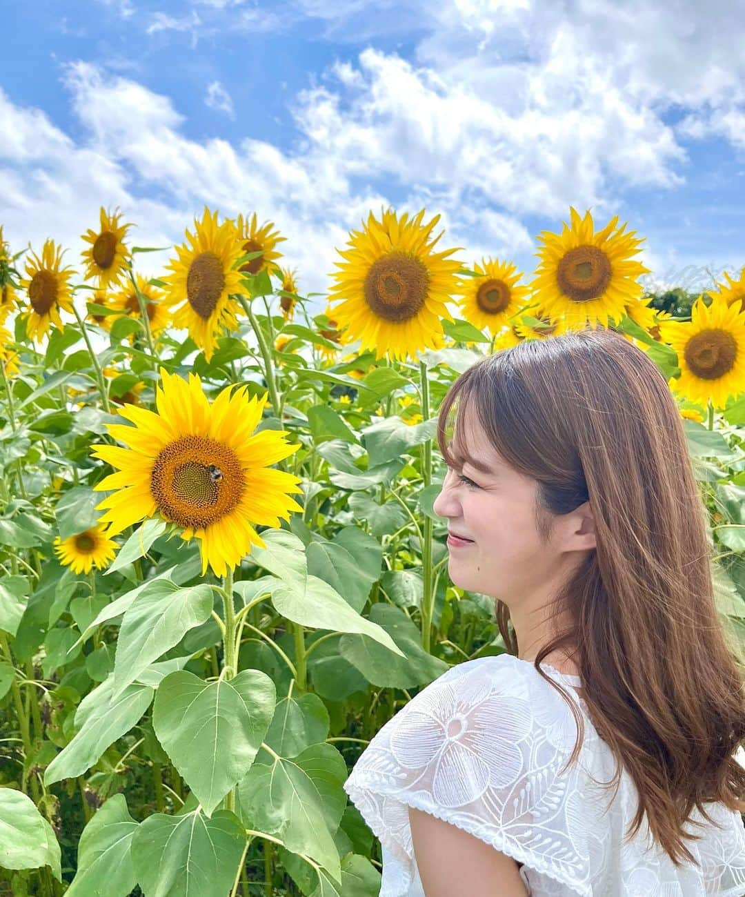 澤井志帆さんのインスタグラム写真 - (澤井志帆Instagram)「.2022.9.10 ⁡ 人生初のひまわり畑🌻  天気も良く、富士山とのコラボが見られて最高でした！！(5枚目) ひまわりに蜂が止まっていて可愛かった〜🐝🤍 ⁡ お花が大好きなので幸せでした♩ ⁡ ⁡ #DaiichiTV#アナウンサー#ひまわり#向日葵#ひまわり畑#向日葵畑#山梨#山中湖#山中湖花の都公園」9月10日 18時00分 - shiho_sawai