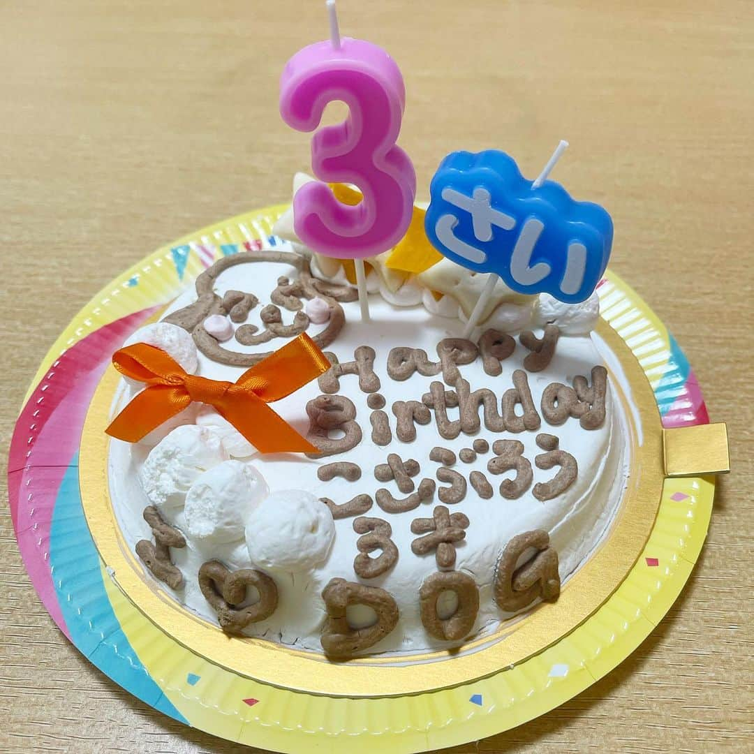 荻野由佳さんのインスタグラム写真 - (荻野由佳Instagram)「こさぶろうくん3歳のお誕生日おめでとう🎉 2019年の、博多座の帰り、そのままお迎えにいって家族になってくれたこさぶろうは、本当にたくさんの癒しと笑顔をこの家に運んできてくれました☺︎ 自分で言うのもおかしいかもしれないけど、私自身少し心が弱っていた時にきてくれて、こさぶろうくんのお陰で本当に毎日が楽しく、何倍も幸せを感じる日々を過ごすことが出来てるよ！ ありがとう🐶 これからも元気いっぱい家を走り回ってね！服を噛みちぎってもいいし、ものを壊してもいいよ！ 変なものを飲み込まなければ！！笑 お転婆だから、気をつけないとね😂 でもそのくらい元気な毎日を送ってほしいです☺︎ これからもずっと横にいてね🐶happybirthday!!こしゃちゃん😄」9月10日 22時46分 - ogiyuka_ippaiwarae216