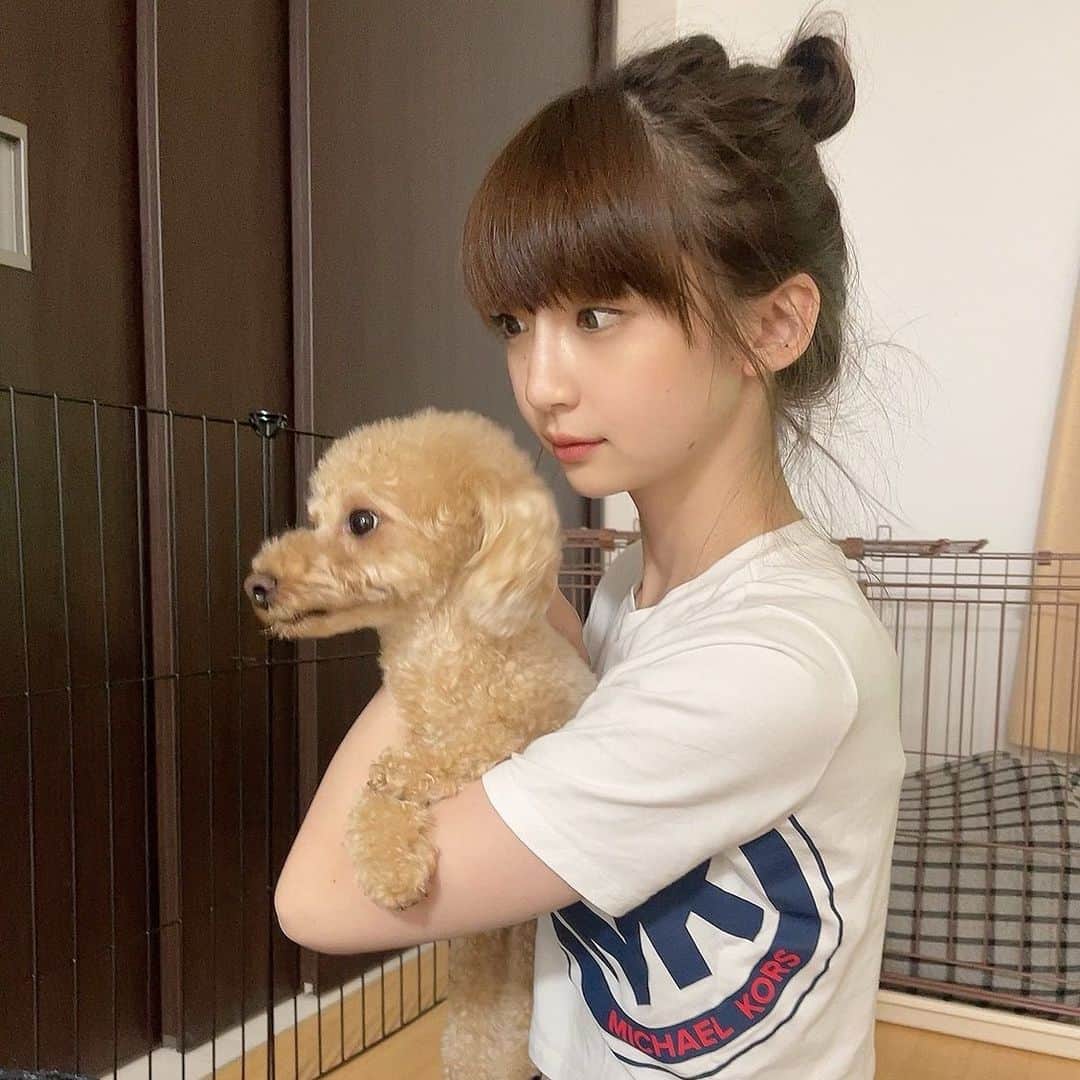 荻野由佳のインスタグラム：「こさぶろうくん3歳のお誕生日おめでとう🎉 2019年の、博多座の帰り、そのままお迎えにいって家族になってくれたこさぶろうは、本当にたくさんの癒しと笑顔をこの家に運んできてくれました☺︎ 自分で言うのもおかしいかもしれないけど、私自身少し心が弱っていた時にきてくれて、こさぶろうくんのお陰で本当に毎日が楽しく、何倍も幸せを感じる日々を過ごすことが出来てるよ！ ありがとう🐶 これからも元気いっぱい家を走り回ってね！服を噛みちぎってもいいし、ものを壊してもいいよ！ 変なものを飲み込まなければ！！笑 お転婆だから、気をつけないとね😂 でもそのくらい元気な毎日を送ってほしいです☺︎ これからもずっと横にいてね🐶happybirthday!!こしゃちゃん😄」