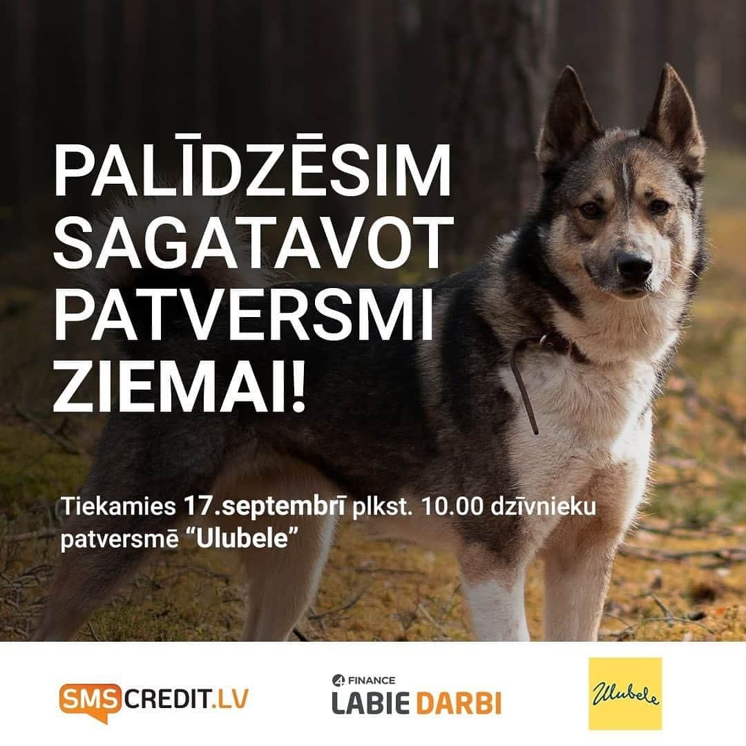 デニス・ヴァシリエフスのインスタグラム：「My supporters at @smscredit.lv are helping prepare the “Ulubele” animal shelter for the winter and you can help too! Fill out the volunteering form (link in my bio) and join on September 17th at 10.00!  Mani atbalstītāji @smscredit.lv palīdz sagatavot dzīvnieku patversmi “Ulubele” ziemai. Arī tu vari palīdzēt! Aizpildi brīvprātīgo pieteikuma anketu (saite manā bio) un pievienojies 17.septembrī plkst.10.00!」