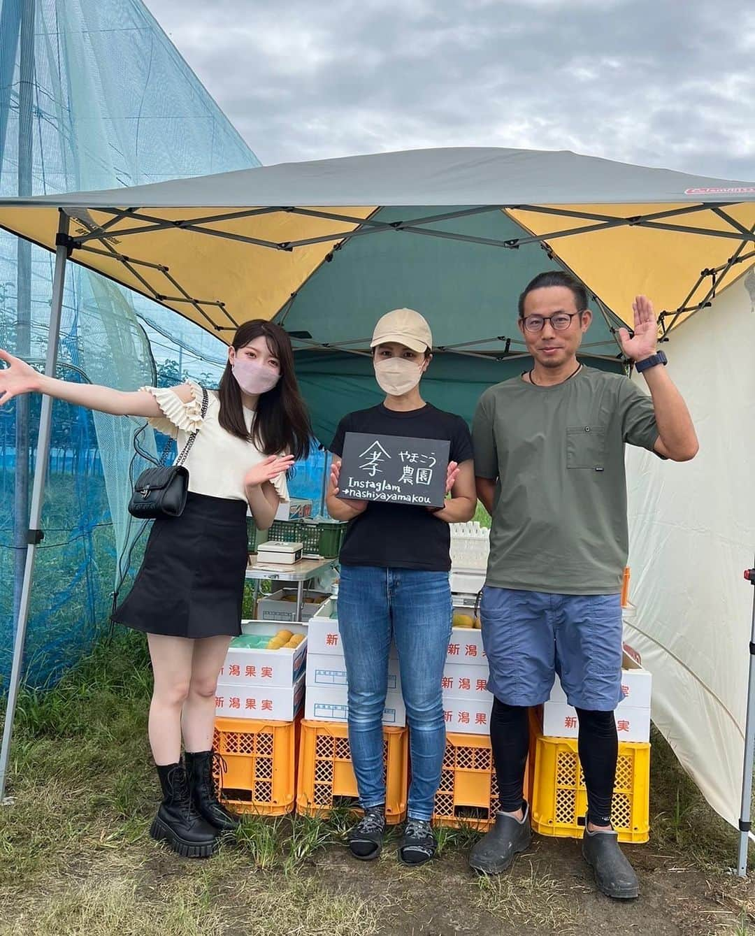 菅原りこのインスタグラム：「『やまこう農園🍐』さん✨ こちらは梨農園さんです🍐  園主さんからの耳寄り情報📢✨ 新碧(しんみどり)という新品種の梨が収穫の時を迎えました！✨ と〜っても美味しい梨なので是非皆さんに食べていただきたい🤗…と園主さん🍐🍐🍐 実はこの新碧、新潟県限定栽培品種だそうです！  皆さん是非食べてみてくださいね！🤗✨」