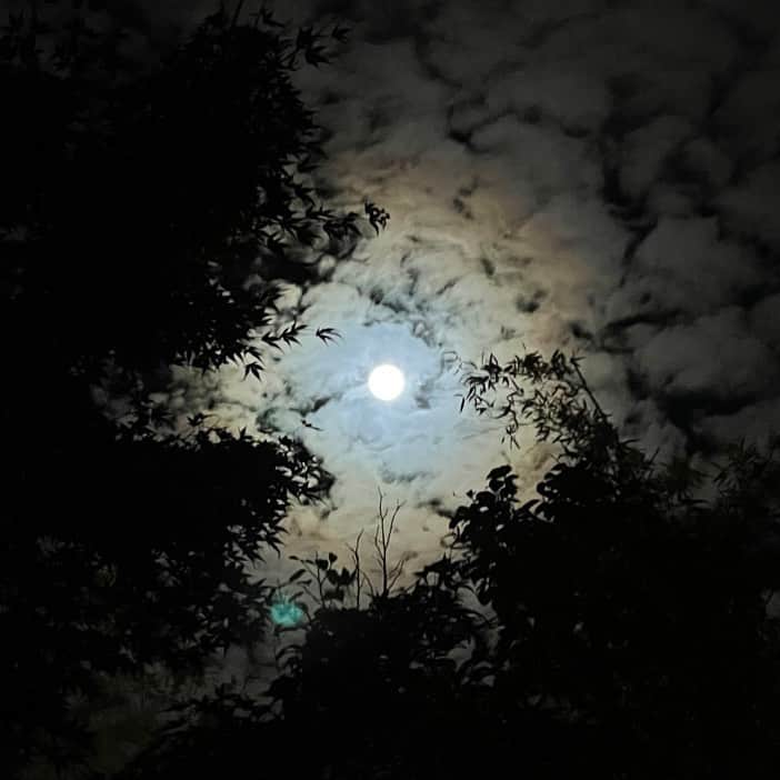 三浦瑠麗さんのインスタグラム写真 - (三浦瑠麗Instagram)「昨夜は中秋の名月…ホテルの月見台からみる満月は、ほんとうにうさぎさんがいらっしゃいそうでした。」9月11日 9時16分 - lullymiura