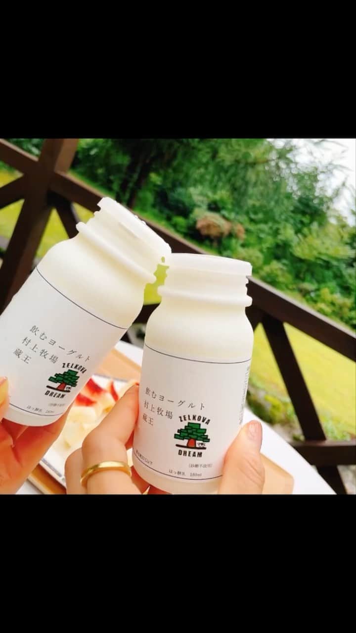 坂田陽子のインスタグラム：「@kana723 カナさんと行く蔵王リトリート。 ・ 仙台駅で待っててくれた カナさんの高校時代からの親友・綾ちゃんと ホヤの刺身やお鮨食べて 道の駅で新鮮野菜を購入し蔵王へ。 ・ 豊かな緑に囲まれたカナさんちの別荘で しばし日常を離れて自然と戯れます。 ・ #蔵王　#蔵王リトリート #かなリトリート　#仙台 #温泉　#自然　#非日常　#デトックス  ・」