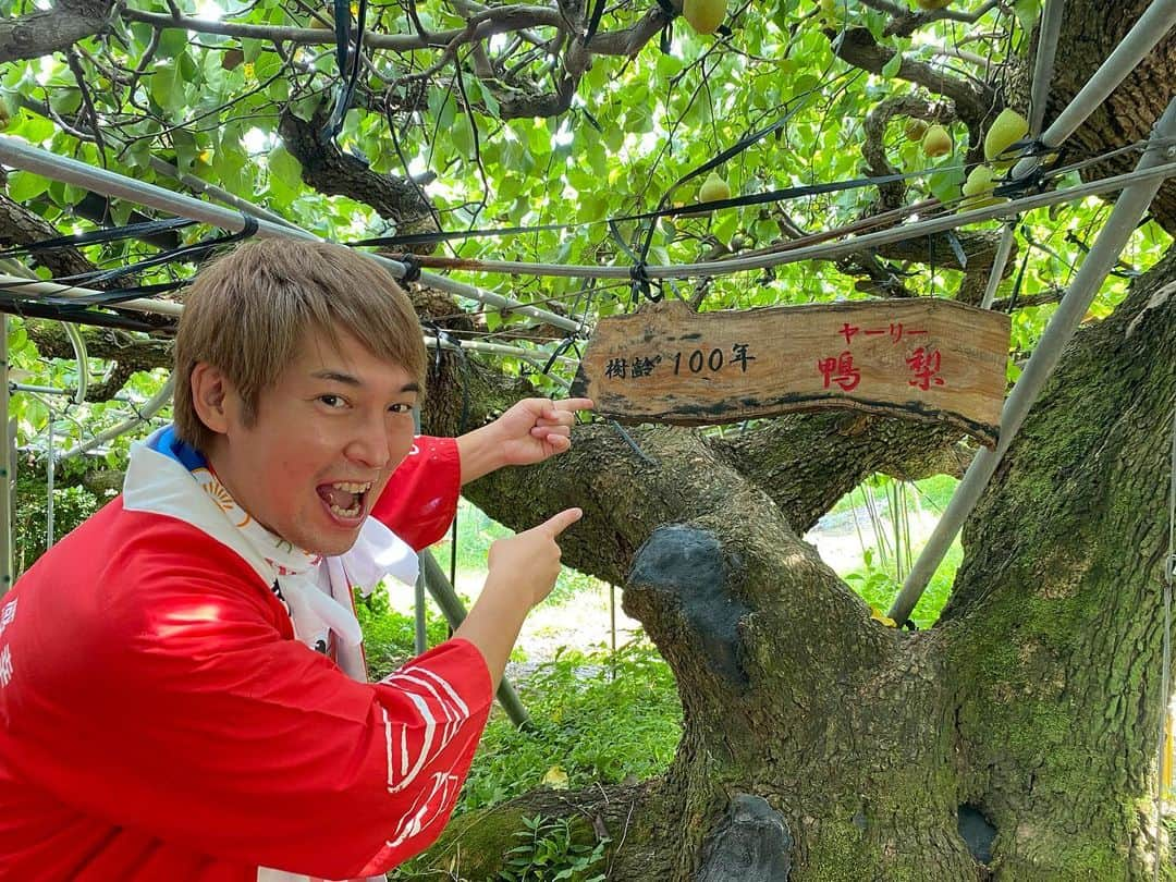 松田洋昌のインスタグラム：「熊本県荒尾市にて樹齢100年の梨の木の前で🍐 #熊本 #荒尾市 #ツアー #梨」