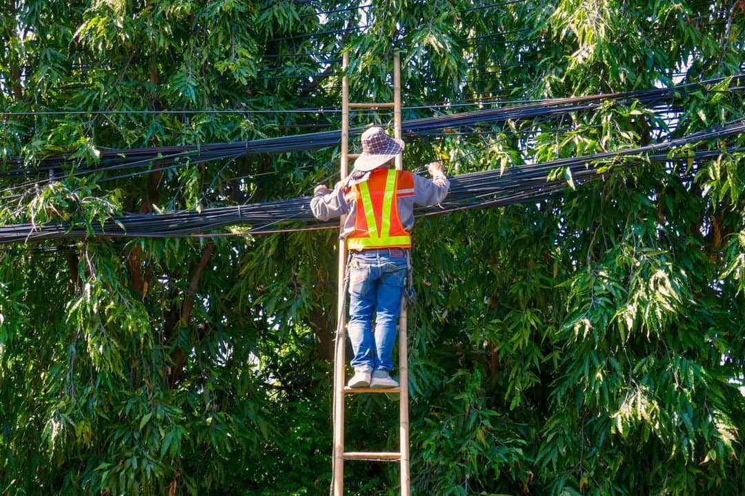 石山蓮華のインスタグラム：「街路樹と接触したケーブルを束ねる作業を見かけました。バンコクの街角にて 2020.1 #いい電線 #electricalwire #electricalcables」