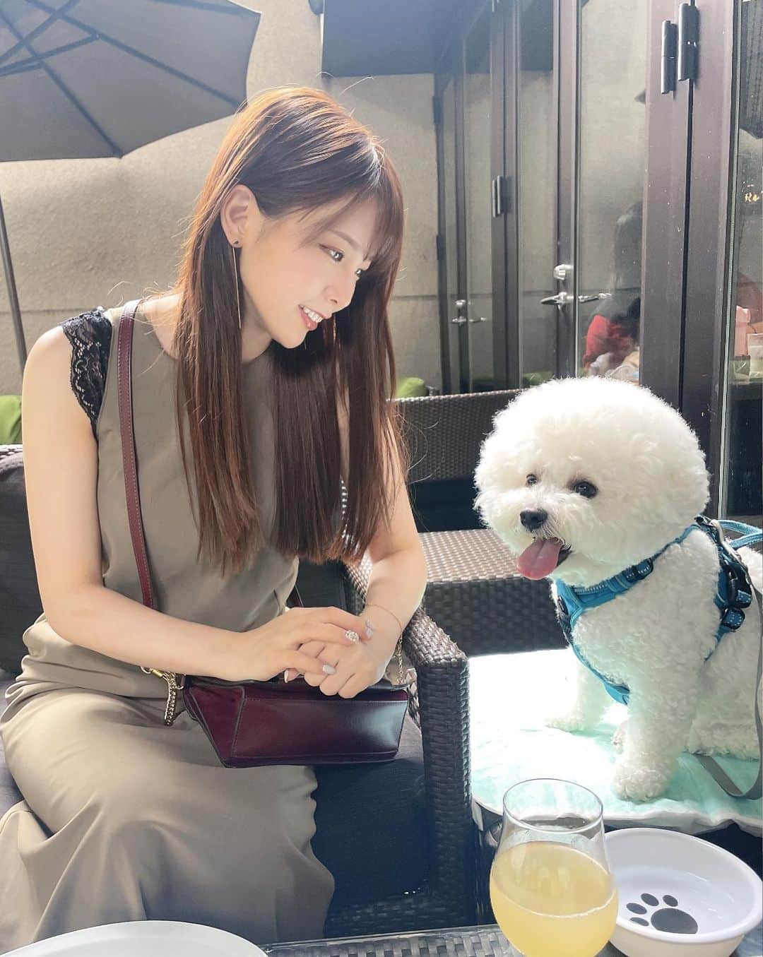 西村歩乃果のインスタグラム：「愛犬と都内カフェしました  #ビションフリーゼ　#bichon #dog」