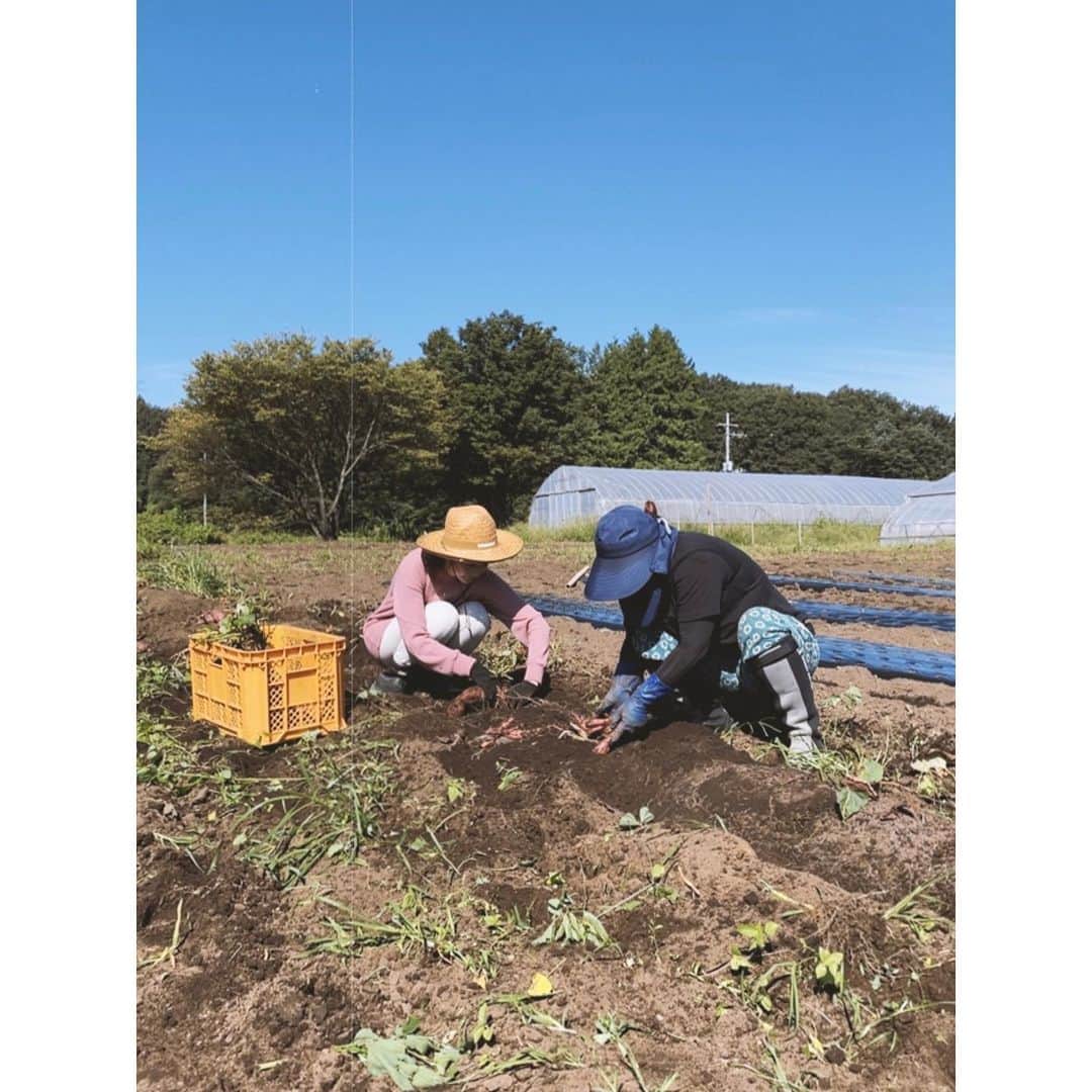 紗栄子のグルメインスタ