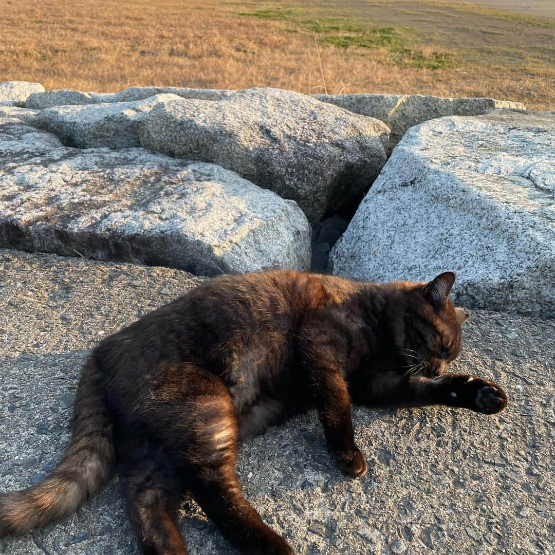 高橋慶帆さんのインスタグラム写真 - (高橋慶帆Instagram)「🐈‍⬛」9月12日 14時31分 - keihan_1013