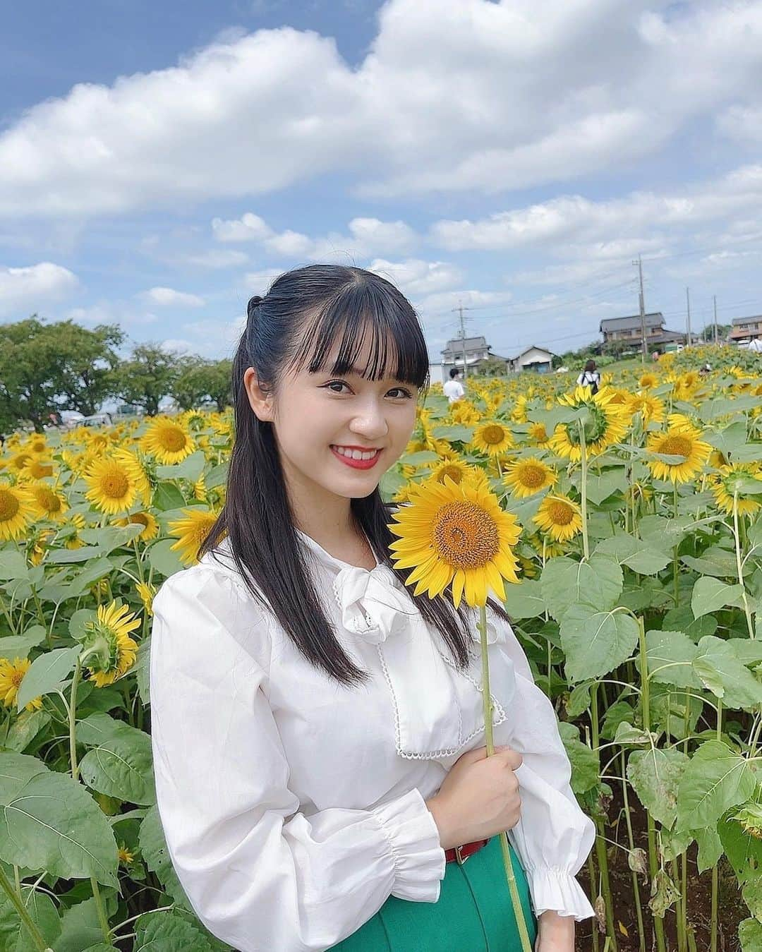 桜井美里さんのインスタグラム写真 - (桜井美里Instagram)「♡  ひまわり畑に行ってきたよ〜🌻  やっと行けた！嬉しい！！  自由にひまわり持ち帰っていいらしくて いっぱいもらっちゃった！！  もう9月だけどまだ夏を感じられた😊  #ひまわり畑」9月12日 19時19分 - mippi__0418