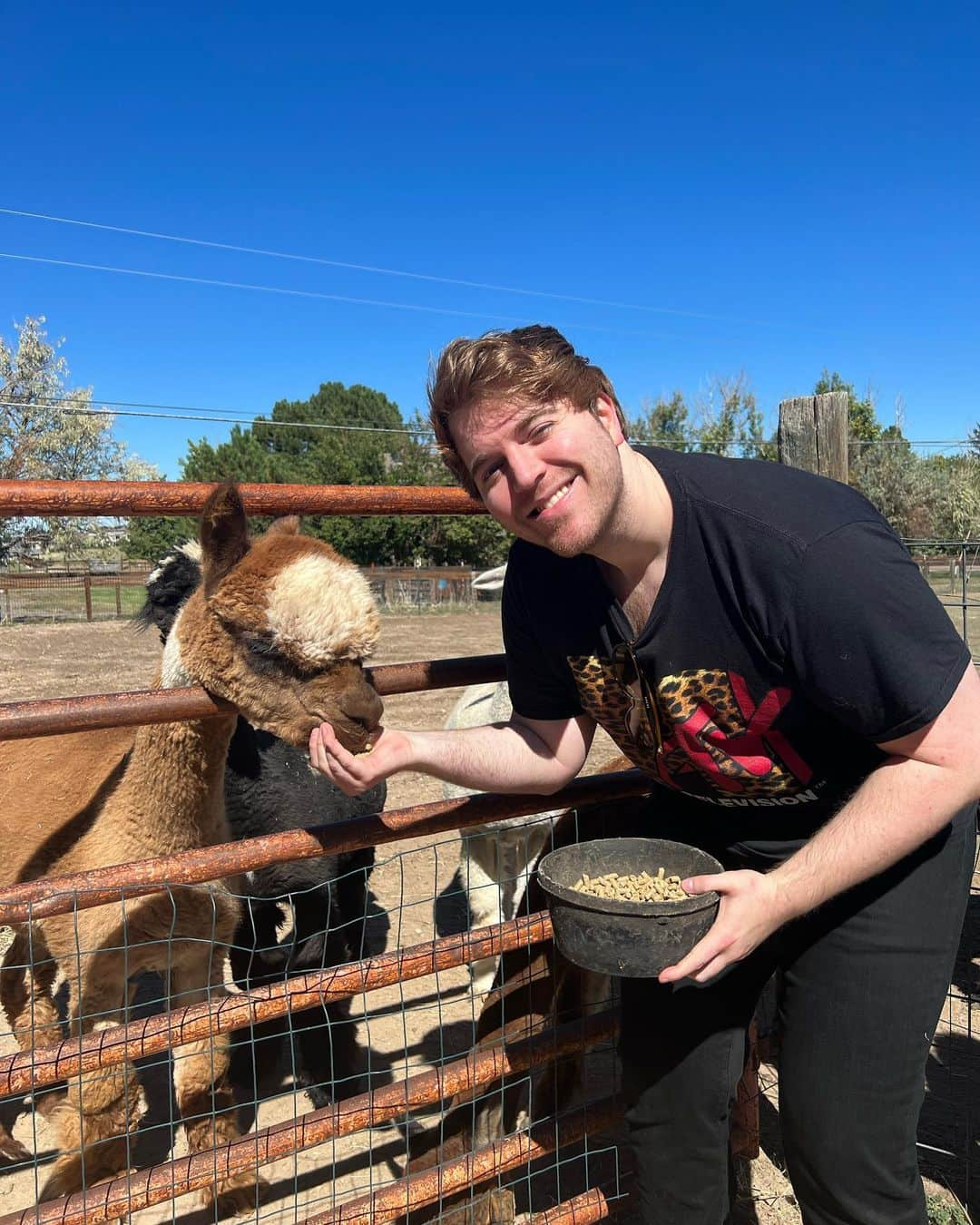 シェーン・ドーソンさんのインスタグラム写真 - (シェーン・ドーソンInstagram)「Weekend was weird 😮‍💨🦙💖snap/LOLShaneDawson」9月27日 6時47分 - shanedawson