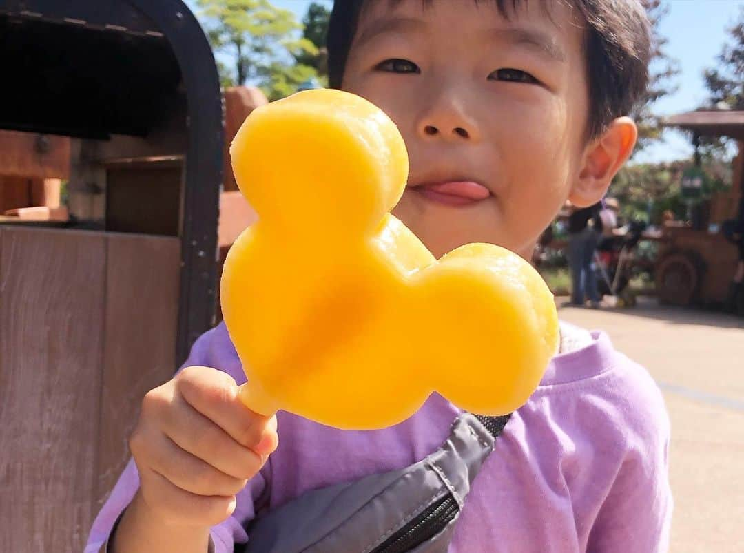 高山真実さんのインスタグラム写真 - (高山真実Instagram)「子連れディズニーはお弁当持参に限ります😁🍙  お腹すいたらすぐ食べられるし 全ての食事がジャンク系だと気になるので(私が🫢)  子供も4歳2歳で それぞれお気に入りが出来て楽しんでくれる様になったから  より子連れディズニーが楽しいです👍👍👍  ※2歳娘のイヤイヤ反抗にはかなりダメージを受けましたが☠️ それも思い出❗️❗️❗️❗️❗️  #子連れディズニー #ディズニーランド #TDR #tokyodisneyland」9月27日 10時34分 - mami.t888