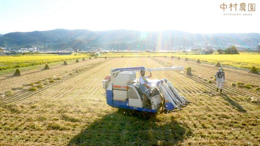 田中幸のインスタグラム：「✴︎中村農園 . . . 本日より 『長野県産コシヒカリ特別栽培米』 有機肥料100%の安心安全な 令和四年度新米🌾  予約受付スタートしました👩‍🌾 10月1日より 全国各地に発送させていただきます🌾  まだ稲刈り真っ只中 刈りたてホヤホヤな新米🍙 是非、ご賞味ください✨ . . . @nakamuranouen.koshihikari  #中村農園 プロフィールのリンクより 【中村農園】からご購入いただけます👩‍🌾 . . . #久しぶりに園長の指導 #毎回忘れる😂 #稲刈り機」