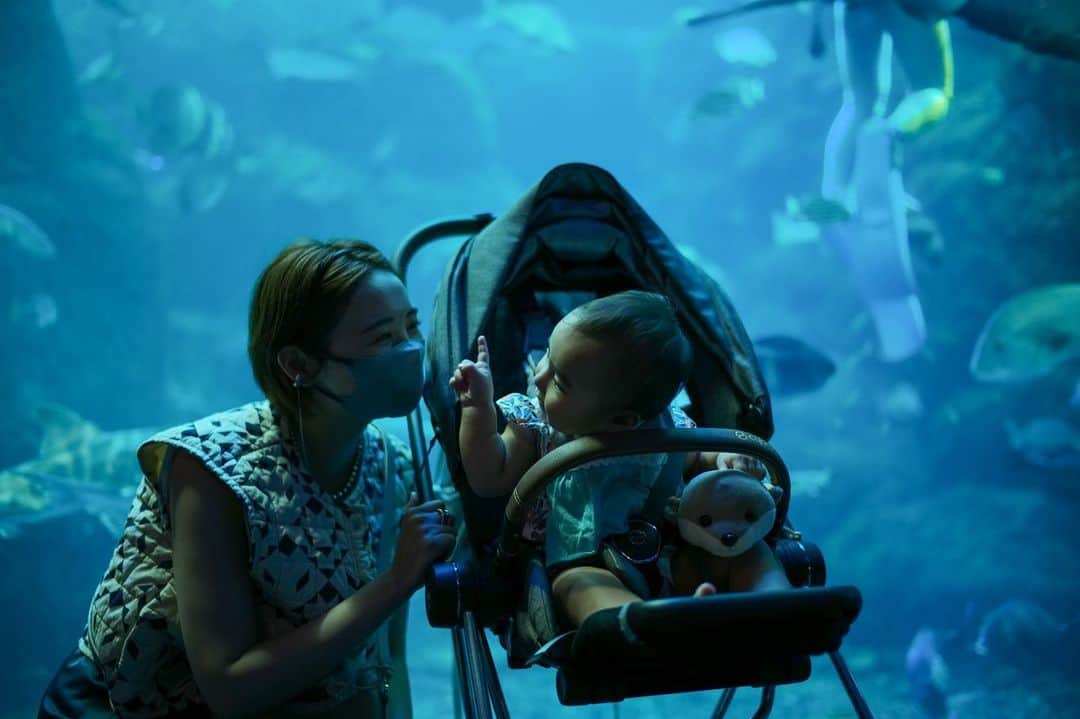 おのののかのインスタグラム：「🐠 娘、はじめての水族館！ 楽しそうにしてて嬉しかったなぁ。 イルカにも反応してた🐬🌈  くじ引きで当てた(ハズレなしの3等だけど笑) カワウソのぬいぐるみも気に入ったようで ずっと抱きしめてた😂🤎  それにしても夫は写真撮るの上手🙏✨ たくさん載せちゃおう〜！」