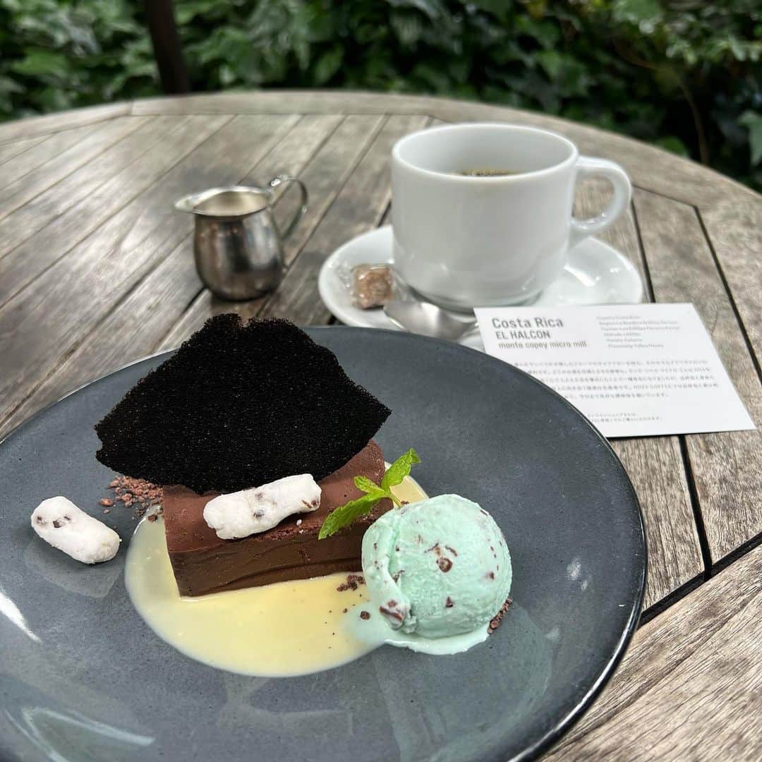 岩間恵のインスタグラム：「☕️🍫🌿 だいすきなチョコミントアイス。 と、ちょこけーき、と、こーひー」