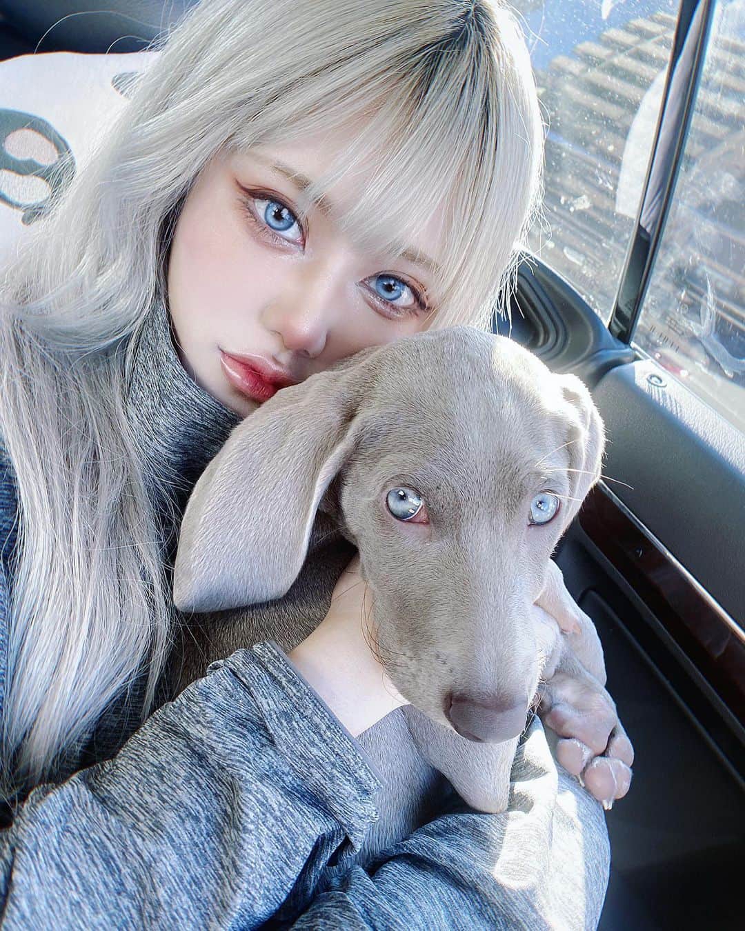 赤羽律のインスタグラム：「🐶」