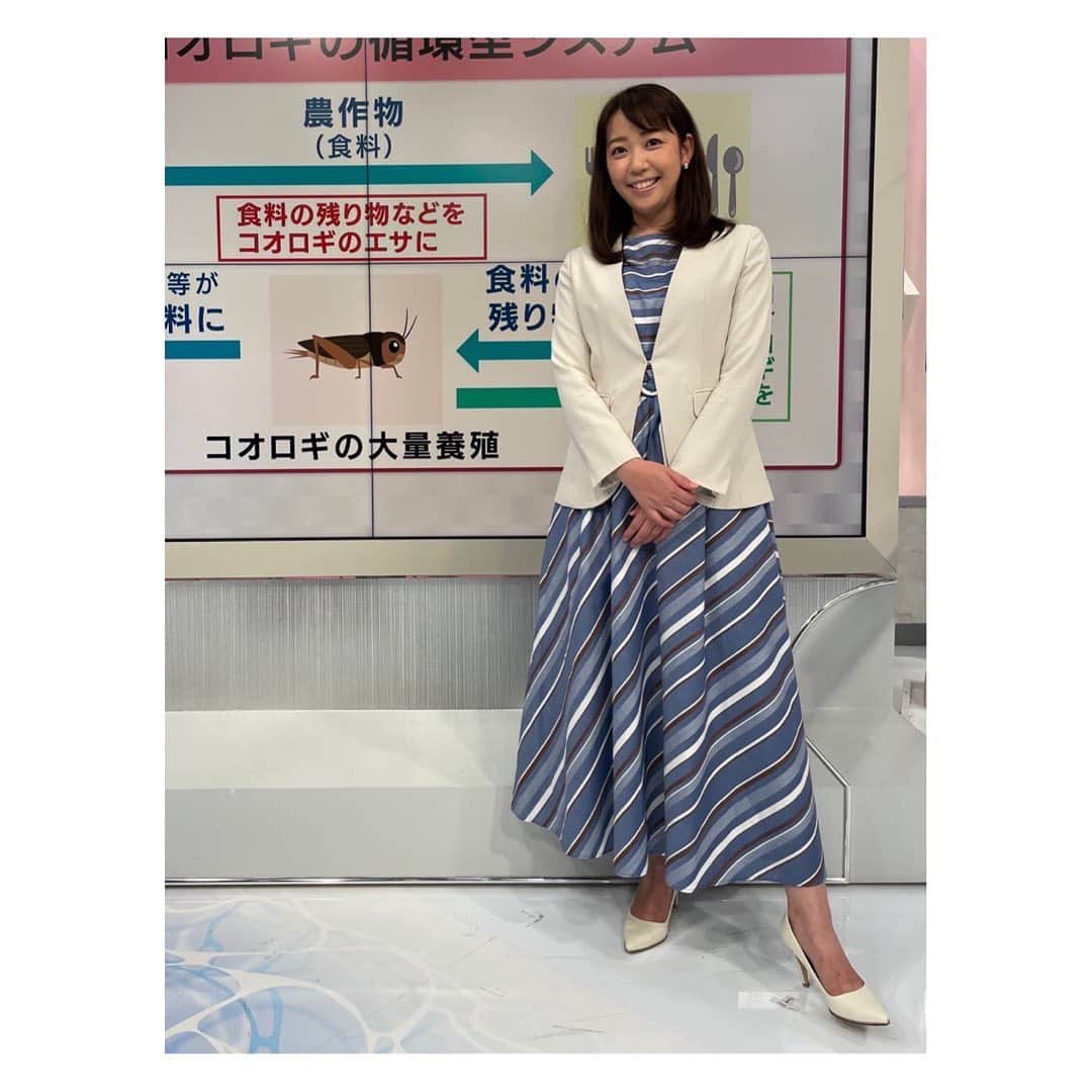 須黒清華のインスタグラム：「先々週の衣装たち💁‍♀️  2枚目、なんだか久しぶりにザ・アナウンサー‼︎ というような衣装を着たので、初心に戻る気持ちで撮ってみました。 溢れる昭和感…笑  今夜は山川キャスターが熊本のTSMC工場を取材しています✨ 8:54から、ぜひご覧くださいね😊  #衣装 #strawberryfields  #日経ニュースプラス9 #山川キャスター #熊本 #tsmc #半導体」