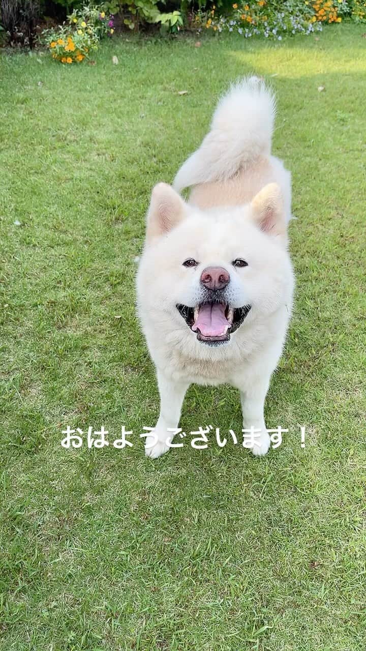 水谷雅子のインスタグラム