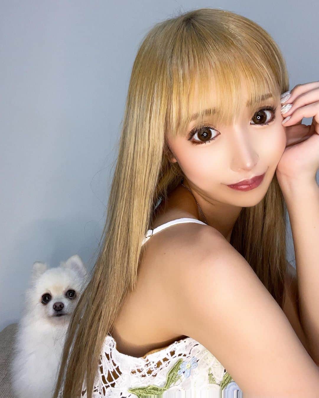 黒宮ちはやのインスタグラム：「ひょっこりはん🐶 目線がジワる😂   #黒宮ちはや #小悪魔ageha #モデル #キャバクラ #キャバ嬢 #ホステス #ラウンジ #水商売 #お酒 #歌舞伎町 #新宿 #六本木 #銀座 #北新地 #ミナミ #渋谷 #すすきの #シャンパン #華灯 #ディアレスト」