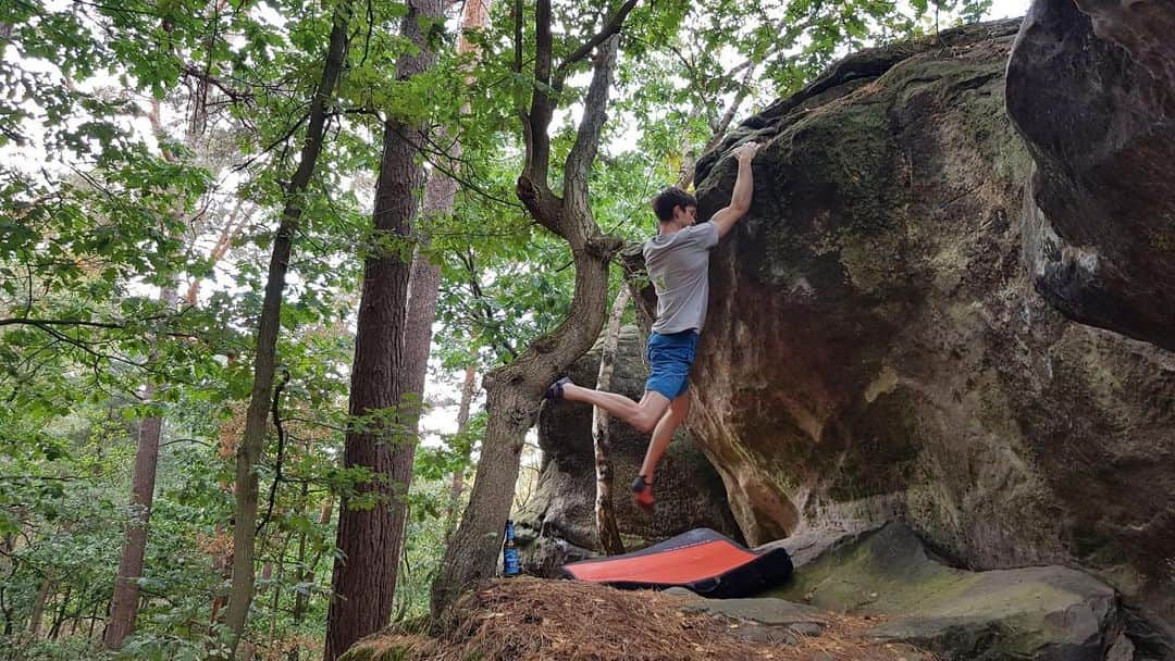 ヤン・ホイヤーさんのインスタグラム写真 - (ヤン・ホイヤーInstagram)「I needed a little change of pace for a day and enjoyed some sandstone bouldering in Isterberg 😎 @krombacher  #NULLKOMMANULL #sportmachtdurst #erfolgsdurst . @madrockclimbing」9月15日 17時21分 - janhojer