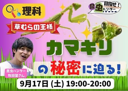 鷲尾春果のインスタグラム：「今週末にある、キッズウィークエンドでのオンライン授業のお知らせです😊  今回は、 『めざせ昆虫ハンター☆草むらの王様「カマキリ」の秘密に迫る』 秋の草むらで大人気なカマキリの秘密に迫ります！  ◎9月17日（土）19:00〜20:00 ◎対象　3歳〜大人 ◎講師　昆虫ハンター　牧田習さん ◎参加費　無料  9月17日　18:55までご予約可能ですので、ぜひチェックしてみてくだい📝 私は授業前後にファシリテーターをさせて頂きます。  ぜひご参加頂けたら嬉しいです😊 @kidsweekend_official   #キッズウィークエンド#オンライン授業#子育て#ママ#子どもの習い事 #昆虫#昆虫ハンター#秋#牧田習　先生 #鷲尾春果」