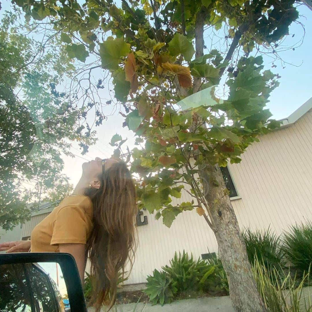 岩堀せりのインスタグラム：「🌳」