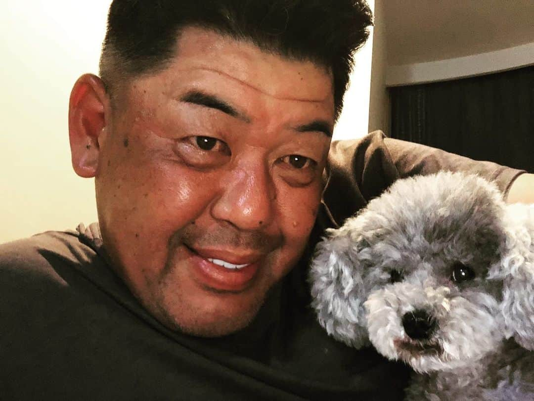 中村紀洋さんのインスタグラム写真 - (中村紀洋Instagram)「. 家に戻ると引っ付いてくる愛犬モコとリアに 癒されます。 . しかし、、、 腕に座るのは身動き取れなくて困る😅 .   #家族  #愛犬  #トイプードル  #ティーカッププードル  #犬の気持ち  #何を  #思ってるだろう  #聞いてみたい」9月16日 19時24分 - nakamura_norihiro5