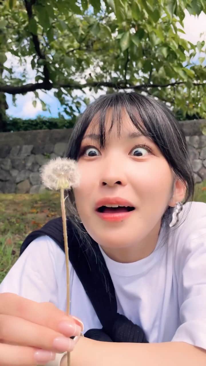 井上ジョーのインスタグラム：「Dandelion by the river  Model: @ibuyo__yasetai   All rights belong to @inouejoe  #flowers #summer #spring #japan #nature #shotoniphone #japanese」