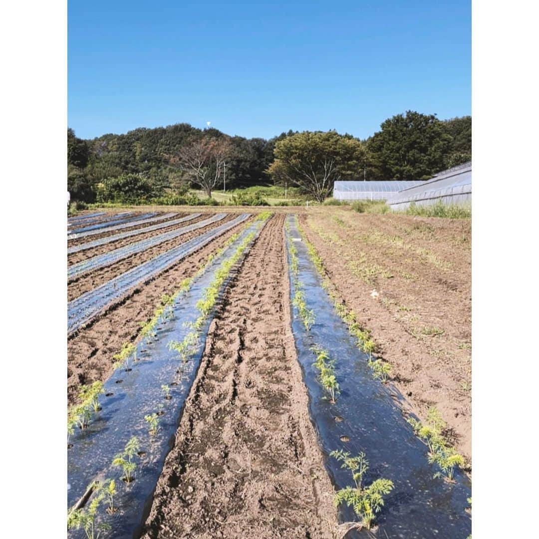紗栄子のグルメインスタ