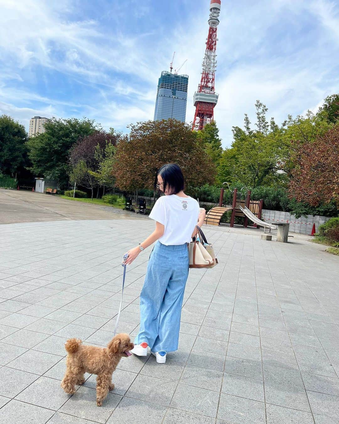 北条桃のインスタグラム：「ころもたん🐶」