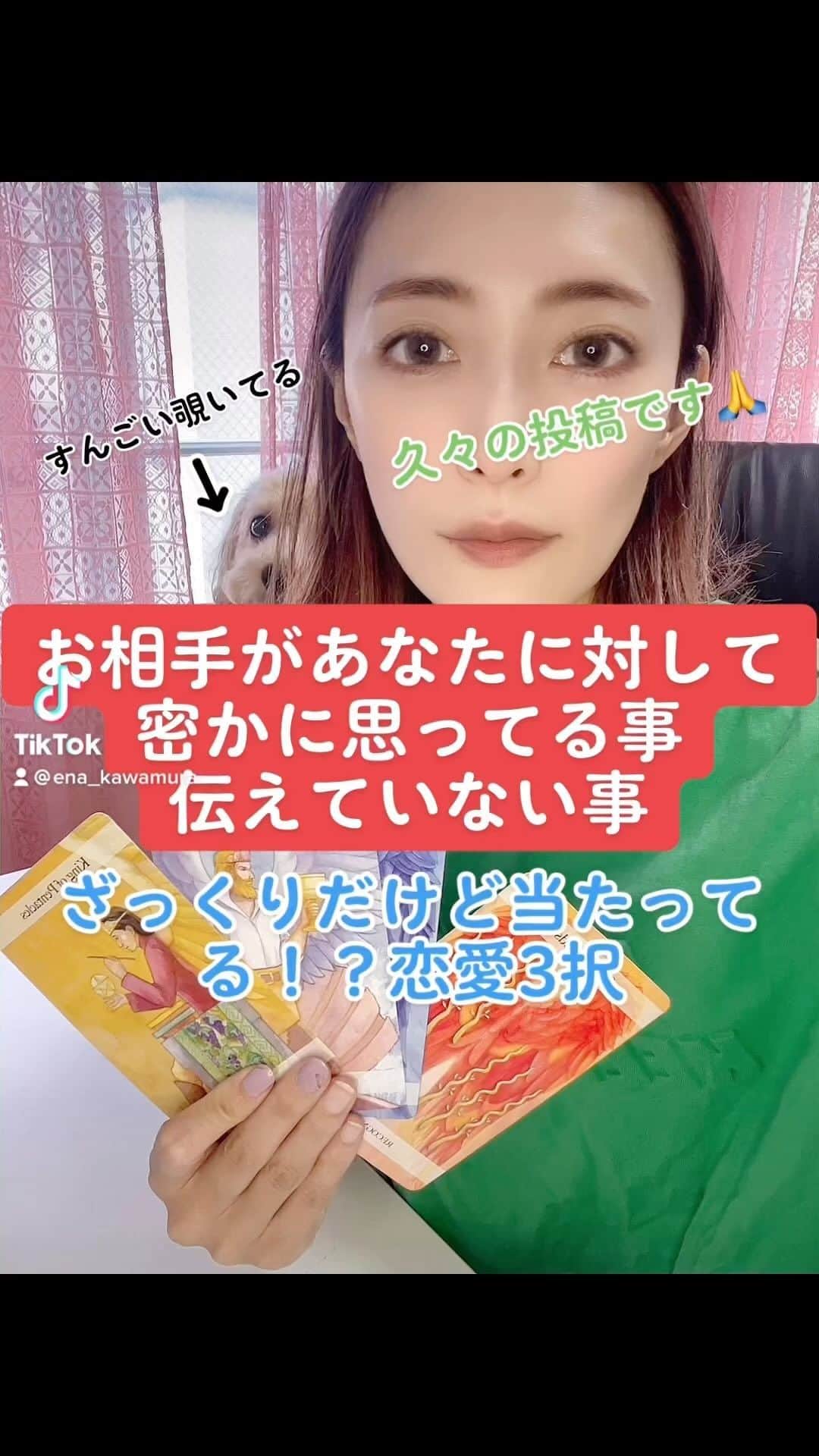 川村えなのインスタグラム：「最近タロット読めるようになりたいです😭っていう人が多い🤔 でも絶対読めると一緒に盛り上がると思う🤔なんか本格的じゃなくてもざっと教えてあげられる会とかあるといいよね🤔  #tiktok  #占い  #3択リーディング  #霊感お姉さん #恋愛占い  #タロット #オラクルカード  #占いコンテンツ監修  #占い師」