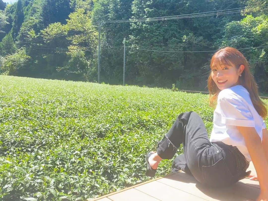 北川彩のインスタグラム：「. 茶畑を眺めながらほのぼのとお茶をいただきましたが 「クマに注意」という看板でそれどころではなかったです！  #静岡 #茶畑 #茶畑カフェ #shizuoka」