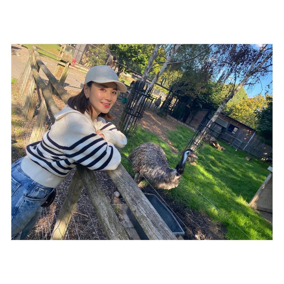 のインスタグラム：「最高気温17℃。 ちょっと寒かったけど日向は暖かくて公園日和でした☀️  #london #londonlife  #batterseapark」