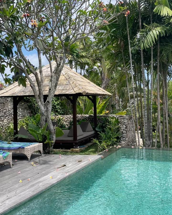 のインスタグラム：「🤍 🏝」