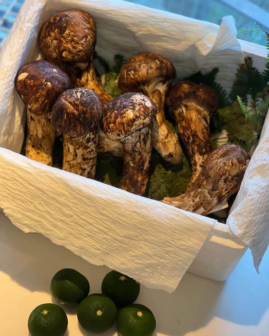 藤島妃呂子のインスタグラム：「秋の味覚〜🍁  大きな松茸、大阪から送って頂きました！ すだちまで😍 山本さん、ありがとうございます〜🫶  早速、松茸ご飯作って晩御飯で美味しく頂きました〜😋♥️  #秋の味覚 #松茸 #美味しい #良い香り #ご馳走様でした #明日は松茸のすき焼きにしようかな〜」