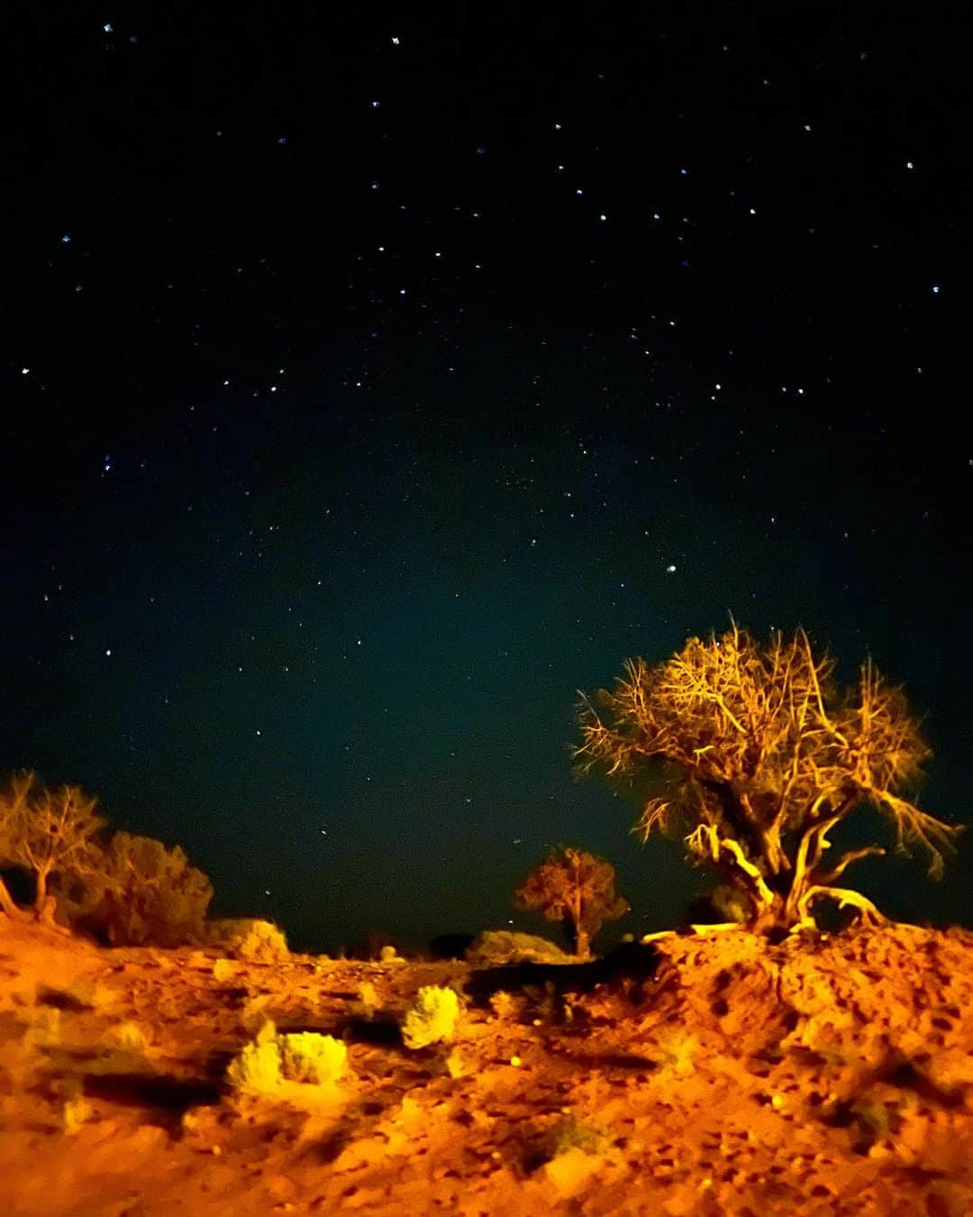 千秋さんのインスタグラム写真 - (千秋Instagram)「火星に降り立った🛸  モニュメントバレーは星空も綺麗💫 iPhone撮影です📱 #モニュメントバレー #monumentvalley #ナバホ族 #ナバホ族の聖地 #ネバダ観光 #千秋旅日記」9月18日 20時35分 - chiaki77777