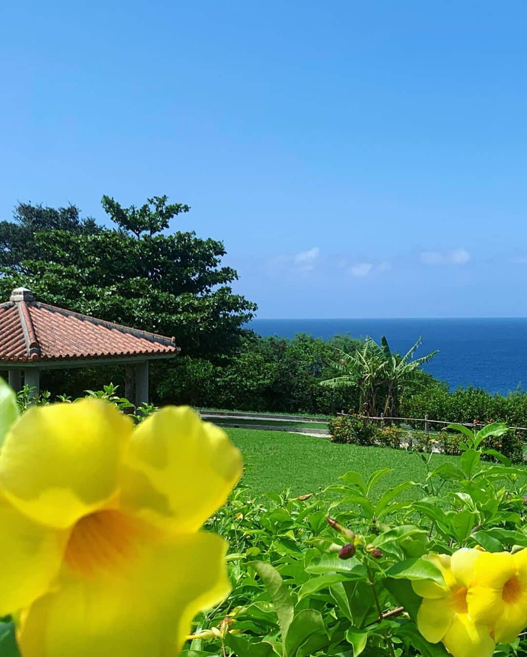 奥山レイカさんのインスタグラム写真 - (奥山レイカInstagram)「台風の合間を縫って沖縄本島の旅✈️ 気象神社へお参りしたおかげで観光中雨はほぼ降りませんでした☀️ 日傘しか使わなかったかな？😌 天気も良くてとても良い旅になりました♡ 全くの初心者から少し詳しくなれた気がします、また行きたいなー🌴🌴  #沖縄旅行 #沖縄本島 #沖縄観光 #沖縄フォト #ウミカジテラス #万座毛 #ティーヌ浜 #ハートロック #沖縄ビーチ #フクギ並木 #美ら海水族館」9月18日 21時44分 - rks631