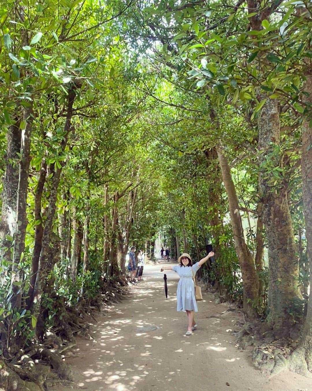 奥山レイカのインスタグラム：「台風の合間を縫って沖縄本島の旅✈️ 気象神社へお参りしたおかげで観光中雨はほぼ降りませんでした☀️ 日傘しか使わなかったかな？😌 天気も良くてとても良い旅になりました♡ 全くの初心者から少し詳しくなれた気がします、また行きたいなー🌴🌴  #沖縄旅行 #沖縄本島 #沖縄観光 #沖縄フォト #ウミカジテラス #万座毛 #ティーヌ浜 #ハートロック #沖縄ビーチ #フクギ並木 #美ら海水族館」