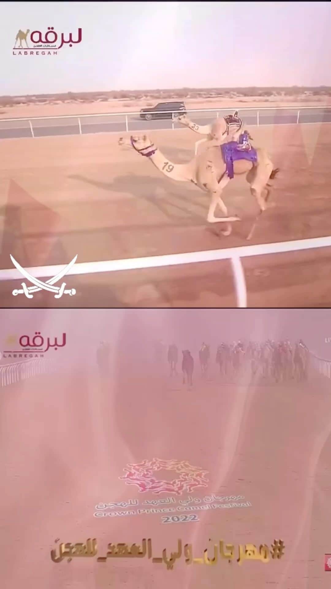 ناصر بن عبدالله المسندのインスタグラム