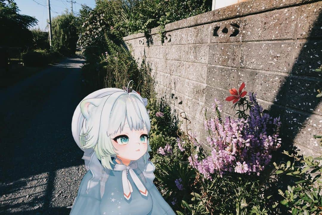 根本凪さんのインスタグラム写真 - (根本凪Instagram)「夏の名残り.  #vtuber  #Photo #根本凪」9月19日 9時59分 - nemonagi