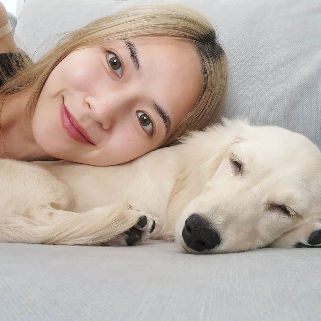 バイトゥーイ・ズワピットのインスタグラム：「มีคนบอกว่าหน้าเหมือนกัน นี่ว่าไม่นะ🐶」