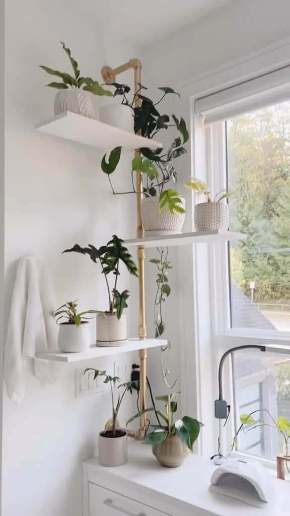 Samantha Ravndahlのインスタグラム：「original tutorial followed was by @neverskipbrunch ✨ when you can’t find the perfect plant shelf solution you make it yourself」