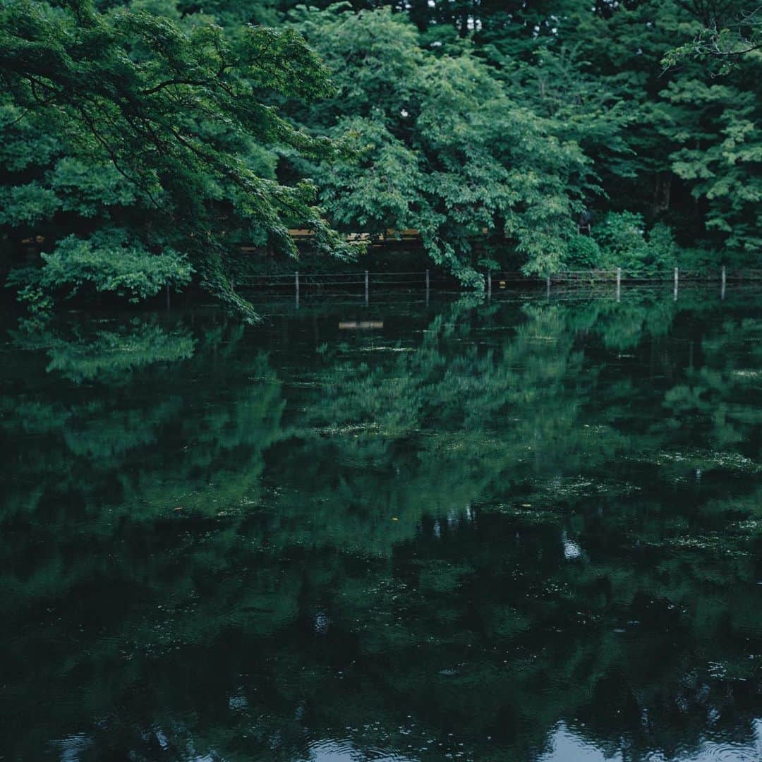 eichi tanoのインスタグラム