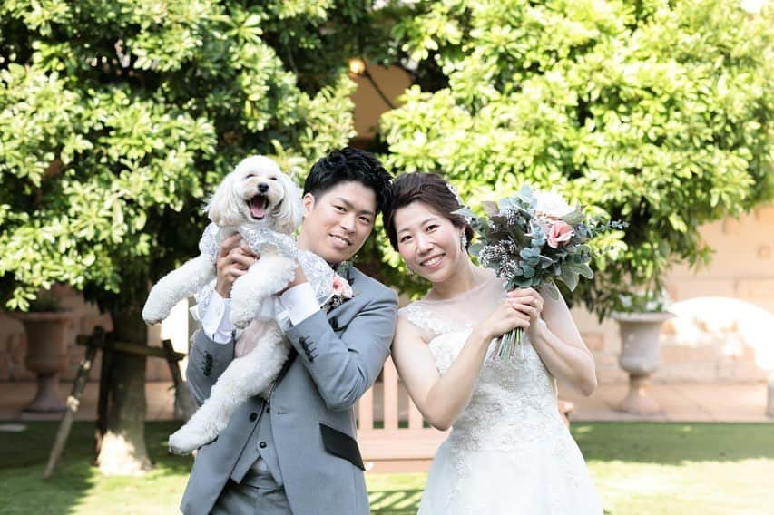 アンジェローブ 名古屋 結婚式場さんのインスタグラム写真 - (アンジェローブ 名古屋 結婚式場Instagram)「. @weddingisland_angerobe をフォローして. 『 #アンジェローブ 』のタグで. お写真を投稿してくださいね＊*. . ——————————. .  愛犬と一緒のウエディング🐶 ワンワン！ ステキなドレス、嬉しいな❤︎ . ——————————. .  -アンジェローブの公式HPをcheck＊* http://www.angerobe.co.jp/sp/ -ブライダルフェアの予約はコチラから♪ http://www.angerobe.co.jp/sp/fair/ . ——————————. . ぜひ『 #アンジェローブ 』のハッシュタグで. ウェディングの写真を投稿してくださいね＊*. ステキなお写真はこちらのアカウントで. リグラムさせていただきます♪. . また『#アンジェローブ』のハッシュタグで. 投稿していただいた#アンジェ嫁 様は. 必ずフォローさせて頂きます💕  プレ花嫁さんも卒花嫁さんも. ずーっと繋がっていきましょう💕 ——————————. . #新郎新婦 #結婚式写真 #ワンちゃんと結婚式  #wedding  #weddingdress  #笑顔 #名古屋結婚式場 #プレ花嫁  #ナチュラルウエディング #結婚式準備 #フォト婚 #東海プレ花嫁 #名古屋プレ花嫁 #リゾート婚 #名古屋結婚式場リングドッグ #婚約 #プロポーズ #港区 #金城ふ頭 #写真結婚式 #海外挙式 #犬と結婚式 #結婚式フォト #リングドッグ #自由な結婚式 #犬 #いぬすたぐらむ」9月19日 18時28分 - weddingisland_angerobe