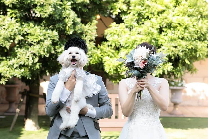 アンジェローブ 名古屋 結婚式場さんのインスタグラム写真 - (アンジェローブ 名古屋 結婚式場Instagram)「. @weddingisland_angerobe をフォローして. 『 #アンジェローブ 』のタグで. お写真を投稿してくださいね＊*. . ——————————. .  愛犬と一緒のウエディング🐶 ワンワン！ ステキなドレス、嬉しいな❤︎ . ——————————. .  -アンジェローブの公式HPをcheck＊* http://www.angerobe.co.jp/sp/ -ブライダルフェアの予約はコチラから♪ http://www.angerobe.co.jp/sp/fair/ . ——————————. . ぜひ『 #アンジェローブ 』のハッシュタグで. ウェディングの写真を投稿してくださいね＊*. ステキなお写真はこちらのアカウントで. リグラムさせていただきます♪. . また『#アンジェローブ』のハッシュタグで. 投稿していただいた#アンジェ嫁 様は. 必ずフォローさせて頂きます💕  プレ花嫁さんも卒花嫁さんも. ずーっと繋がっていきましょう💕 ——————————. . #新郎新婦 #結婚式写真 #ワンちゃんと結婚式  #wedding  #weddingdress  #笑顔 #名古屋結婚式場 #プレ花嫁  #ナチュラルウエディング #結婚式準備 #フォト婚 #東海プレ花嫁 #名古屋プレ花嫁 #リゾート婚 #名古屋結婚式場リングドッグ #婚約 #プロポーズ #港区 #金城ふ頭 #写真結婚式 #海外挙式 #犬と結婚式 #結婚式フォト #リングドッグ #自由な結婚式 #犬 #いぬすたぐらむ」9月19日 18時28分 - weddingisland_angerobe