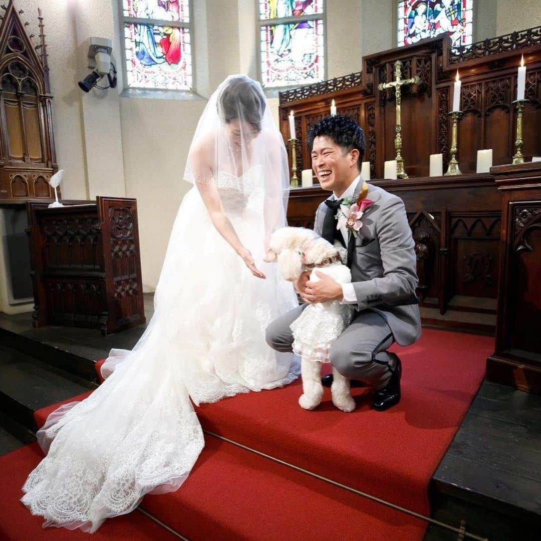 アンジェローブ 名古屋 結婚式場さんのインスタグラム写真 - (アンジェローブ 名古屋 結婚式場Instagram)「. @weddingisland_angerobe をフォローして. 『 #アンジェローブ 』のタグで. お写真を投稿してくださいね＊*. . ——————————. .  愛犬と一緒のウエディング🐶 ワンワン！ 猛ダッシュで大好きな人の元へ向かうよ！  . ——————————. .  -アンジェローブの公式HPをcheck＊* http://www.angerobe.co.jp/sp/ -ブライダルフェアの予約はコチラから♪ http://www.angerobe.co.jp/sp/fair/ . ——————————. . ぜひ『 #アンジェローブ 』のハッシュタグで. ウェディングの写真を投稿してくださいね＊*. ステキなお写真はこちらのアカウントで. リグラムさせていただきます♪. . また『#アンジェローブ』のハッシュタグで. 投稿していただいた#アンジェ嫁 様は. 必ずフォローさせて頂きます💕  プレ花嫁さんも卒花嫁さんも. ずーっと繋がっていきましょう💕 ——————————. . #新郎新婦 #結婚式写真 #ワンちゃんと結婚式  #wedding  #weddingdress  #笑顔 #名古屋結婚式場 #プレ花嫁  #ナチュラルウエディング #結婚式準備 #フォト婚 #東海プレ花嫁 #名古屋プレ花嫁 #リゾート婚 #名古屋結婚式場リングドッグ #婚約 #プロポーズ #港区 #金城ふ頭 #写真結婚式 #海外挙式 #犬と結婚式 #結婚式フォト #リングドッグ #自由な結婚式 #犬 #いぬすたぐらむ」9月19日 18時32分 - weddingisland_angerobe