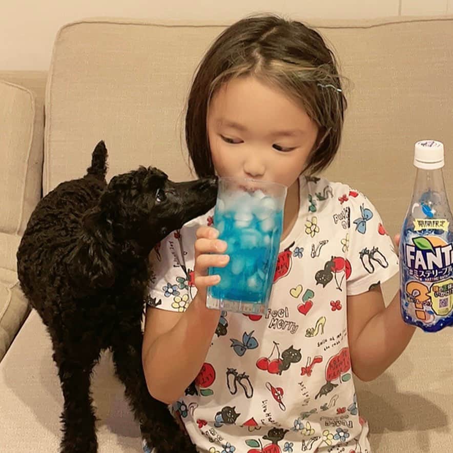 内藤陽子のインスタグラム：「今日発売のファンタのミステリーブルーを楽しみにしていたから、雨の中朝イチでコンビニ3軒行ってなくて、ニコダウン💧 16時半には入りますと言われたのでギリギリ空手前に行ってget🍹 すんんんんっごく楽しみにしていたから、嬉しかったみたいで良かった🎶 ただ…さっき、実家寄ったら冷蔵庫にミステリーブルーが沢山用意されてた…… なんだったんだろかw  結局、何の味かは未定🤔  ＃ファンタミステリーブルー」