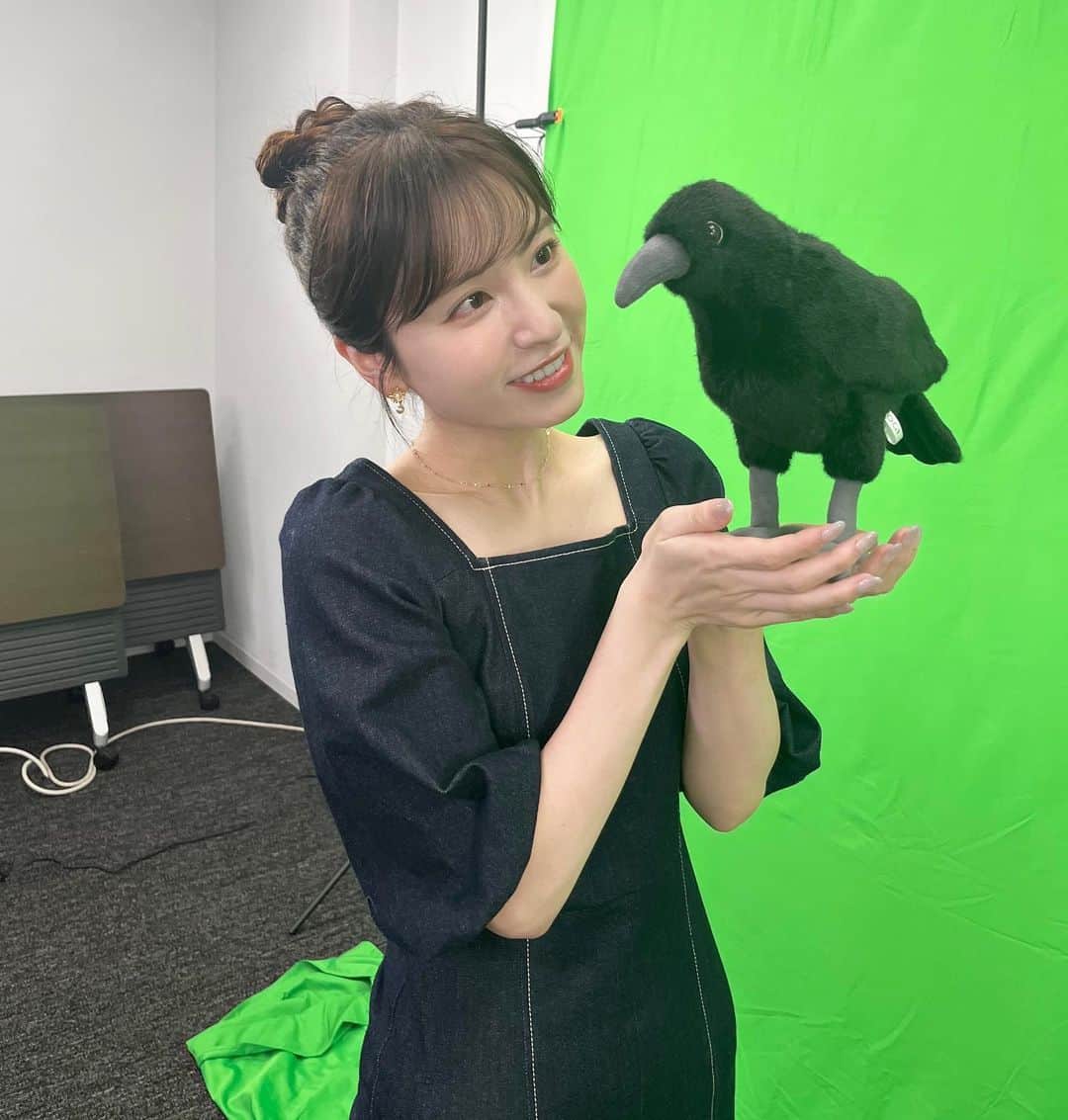 のインスタグラム：「9月6日はカラスの日だったそうです🖤 #BSテレ東 #明日は何の日？」