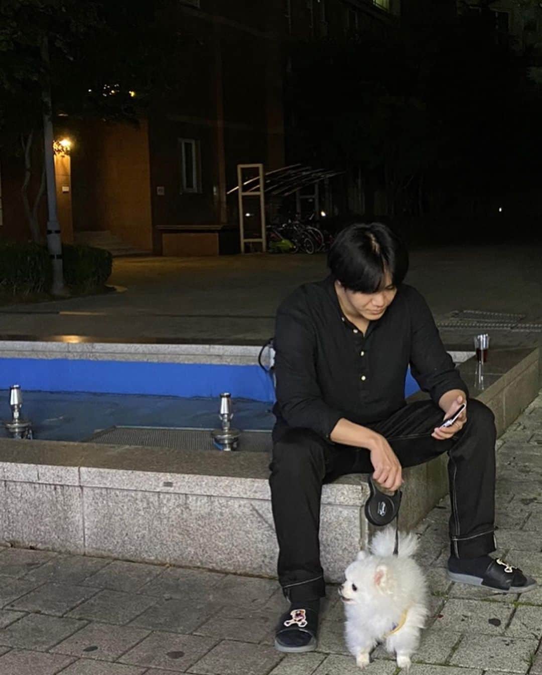 ミル のインスタグラム：「집에 오자마자 슬리퍼로 갈아 신고 산책. 구름이는 계단을 못오르는데 엉덩이에 응아 묻었대요」