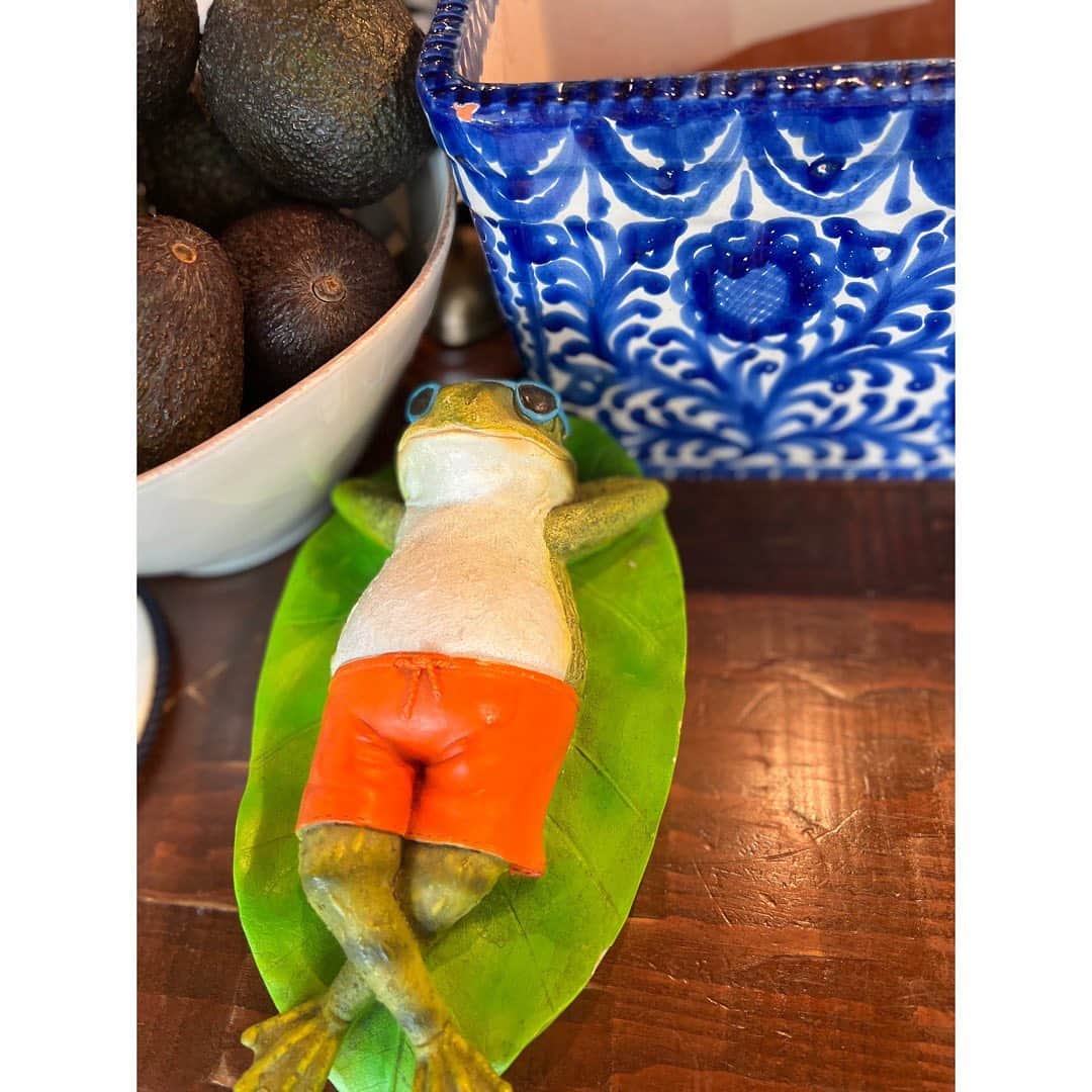 望海風斗さんのインスタグラム写真 - (望海風斗Instagram)「🌬 ⁡ 台風大丈夫でしたでしょうか？ まだまだ心配ですが、 皆様どうか気をつけてお過ごしください。 ⁡ カエルが呑気で羨ましい…。 ⁡ #台風 #温帯低気圧 ⁡ #200投稿目 #いつもありがとうございます😊」9月20日 10時13分 - nozomifuto_official